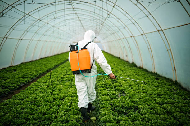Best Best Pest Control Companies  in Chesapeake, WV