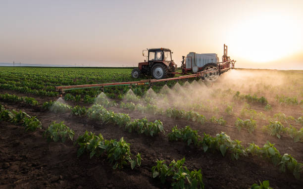 Best Mosquito Control Services  in Chesapeake, WV