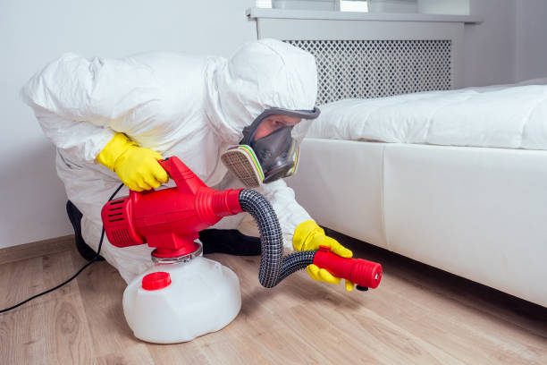 Best Ant Control Services  in Chesapeake, WV