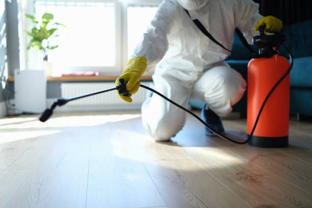 Best Affordable Pest Control Services  in Chesapeake, WV
