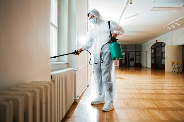 Best Flea Control Services  in Chesapeake, WV