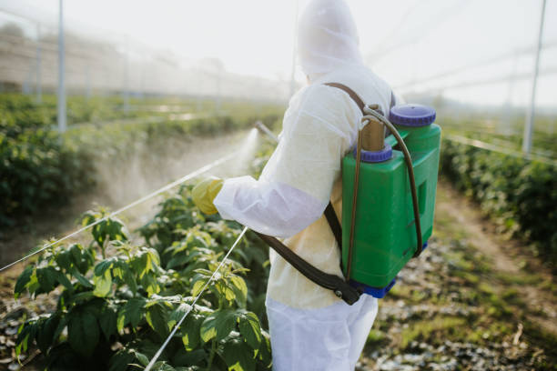 Best Affordable Pest Control Services  in Chesapeake, WV